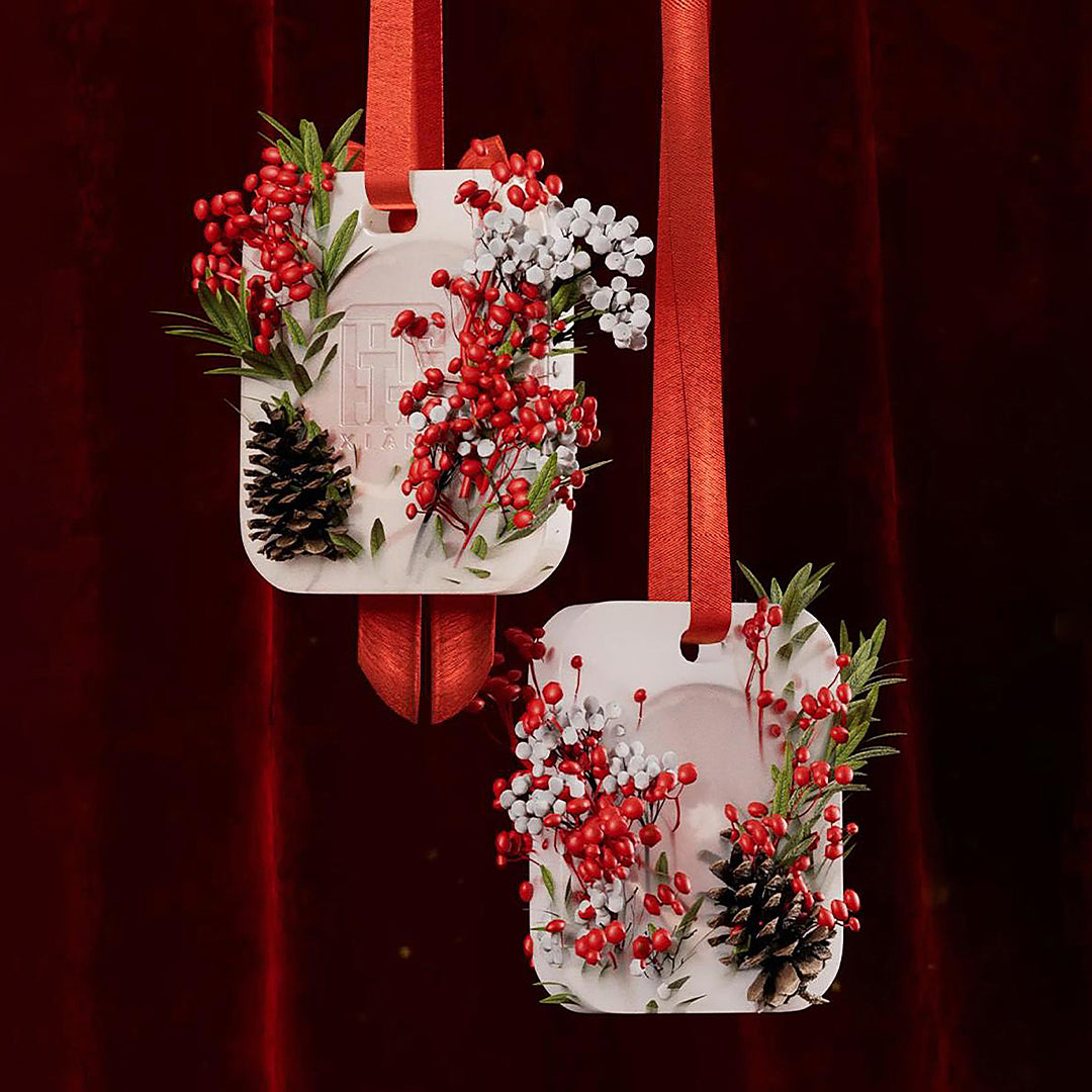 Kit de fabrication d'encens à faire soi-même – Coffret de fabrication artisanale de pastilles parfumées (Édition cadeau petit coffret)